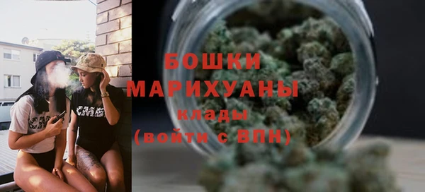 2c-b Новозыбков