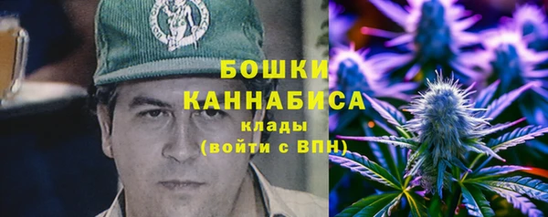 2c-b Новозыбков
